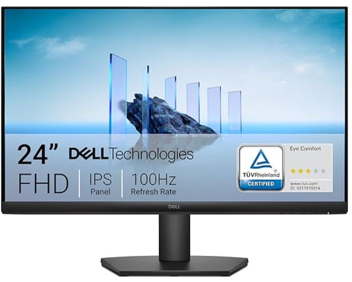 Dell 24 Inch Monitor